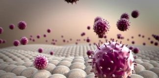 Study: Method of priming macrophages to boost anti-tumor response — (Details)