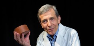 Research: Fired-clay bricks incorporating biosolids could be a sustainable solution for both the wastewater treatment and brickmaking industries —