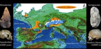 Research: A surprisingly early replacement of Neanderthals by modern humans in southern Spain —
