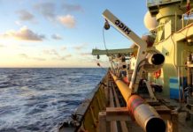 Research: For zombie microbes, deep-sea buffet is just out of reach —