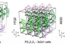 Research: Scientists achieve the first stable simulations of DNA crystals —
