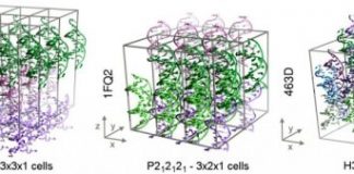 Research: Scientists achieve the first stable simulations of DNA crystals —