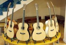 Offbeat: Do endangered woods make better guitars? —