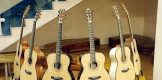 Offbeat: Do endangered woods make better guitars? —