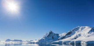 Research: Antarctic krill population contracts southward as polar oceans warm —