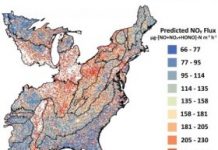 Research: Air pollutants from US forest soils will increase with climate change —
