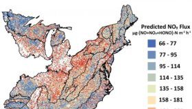 Research: Air pollutants from US forest soils will increase with climate change —