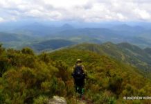 Offbeat: Ranger motivation in dangerous African park —