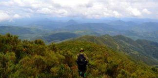 Offbeat: Ranger motivation in dangerous African park —