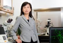 Research: It may be possible to restore memory function in Alzheimer’s, preclinical study finds —