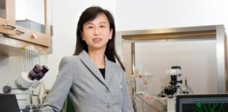 Research: It may be possible to restore memory function in Alzheimer’s, preclinical study finds —