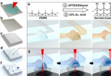 Tech: UMD engineers demonstrate their approach by printing the smallest-known 3D microfluidic circuit element — (Report)
