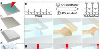 Tech: UMD engineers demonstrate their approach by printing the smallest-known 3D microfluidic circuit element — (Report)