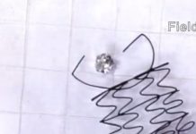 Tech: Structures can contract, reshape and grab objects while floating on water — (Report)