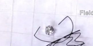 Tech: Structures can contract, reshape and grab objects while floating on water — (Report)