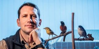 Research: Conservation efforts help some rare birds more than others —