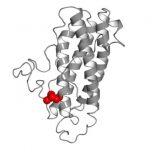 Study: Evolution of signaling molecules opens door to new sepsis therapy approaches — (Details)