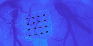 Study: Graphene can hear your brain whisper — (Details)