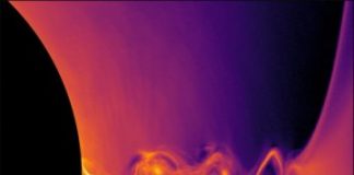 Research: Interplay of twisting magnetic field, ‘negative-energy’ particles —