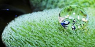 Research: High-tech surfaces could greatly reduce drag and CO2 emissions of ships —