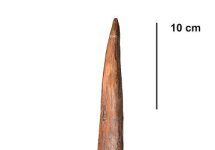 Research: Neanderthal hunting spears could kill at a distance —