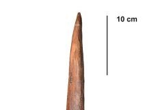 Research: Neanderthal hunting spears could kill at a distance —