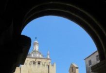 Research: New family of fungi threatens a UNESCO-listed 8-century-old cathedral in Portugal —