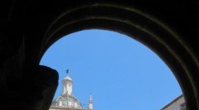 Research: New family of fungi threatens a UNESCO-listed 8-century-old cathedral in Portugal —
