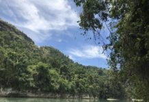 Research: Humans colonized diverse environments in Southeast Asia and Oceania during the Pleistocene —