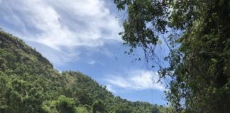 Research: Humans colonized diverse environments in Southeast Asia and Oceania during the Pleistocene —