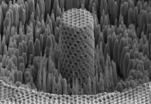 Tech: ‘Metallic wood’ has the strength of titanium and the density of water — (Report)