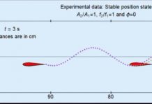 Research: How do fish and birds hang together? The answer is a wake with purpose —