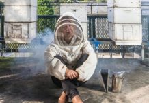 Research: Beekeepers urged to rethink fears around deadly virus —