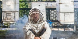 Research: Beekeepers urged to rethink fears around deadly virus —