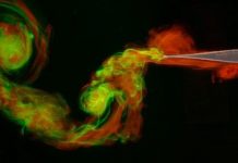 Tech: Researchers wing it in mimicking evolution to discover best shape for flight — (Report)