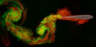 Tech: Researchers wing it in mimicking evolution to discover best shape for flight — (Report)