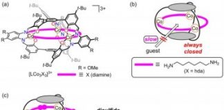 Study: A closed cage-like molecule that can be opened — (Details)