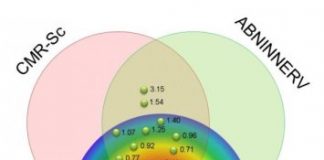 Study: Combined SPECT and cardiac MR imaging can help guide ventricular tachycardia ablation — (Details)