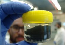 Tech: Device, produced by bacteria, takes advantage of the residual heat and transforms it into electricity for innovative sensing applications — (Report)