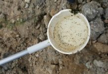 Research: Insecticide resistance genes affect vector competence for West Nile virus —