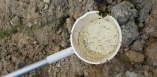 Research: Insecticide resistance genes affect vector competence for West Nile virus —
