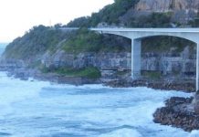 Research: Earth’s largest extinction event likely took plants first —