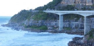 Research: Earth’s largest extinction event likely took plants first —