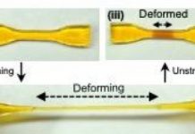 Research: Self-growing materials that strengthen in response to force —