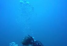 Tech: Study of brine discharge from desalination plant finds good news and bad news — (Report)