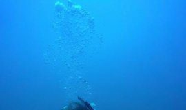 Tech: Study of brine discharge from desalination plant finds good news and bad news — (Report)