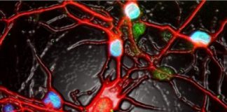 Study: Hyperactive brain cells may be to blame when antidepressants don’t work — (Details)