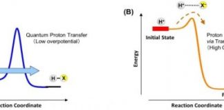 Tech: Current generation via quantum proton transfer — (Report)