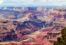 Research: How predatory plankton created modern ecosystems after ‘Snowball Earth’ —