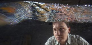 Research: Variations in seafloor create freak ocean waves —